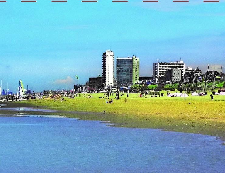 Amsterdam Beach Apartment Zandvoort Exteriér fotografie